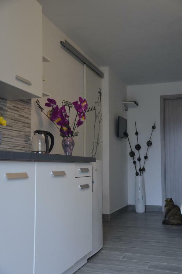 Apartments Lilly - Studio Rijeka Eksteriør bilde